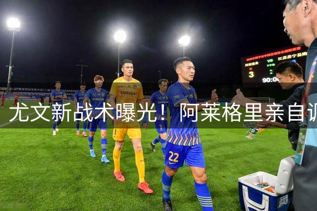 尤文新战术曝光！阿莱格里亲自调教霍伊伦成禁区终结者