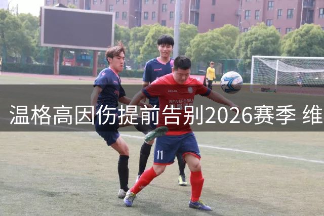 温格高因伤提前告别2026赛季 维斯玛车队宣布停赛决定