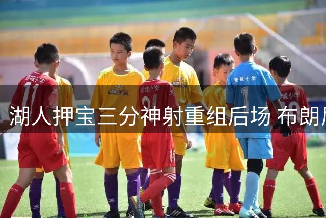 湖人押宝三分神射重组后场 布朗尼或成热火低成本补强筹码