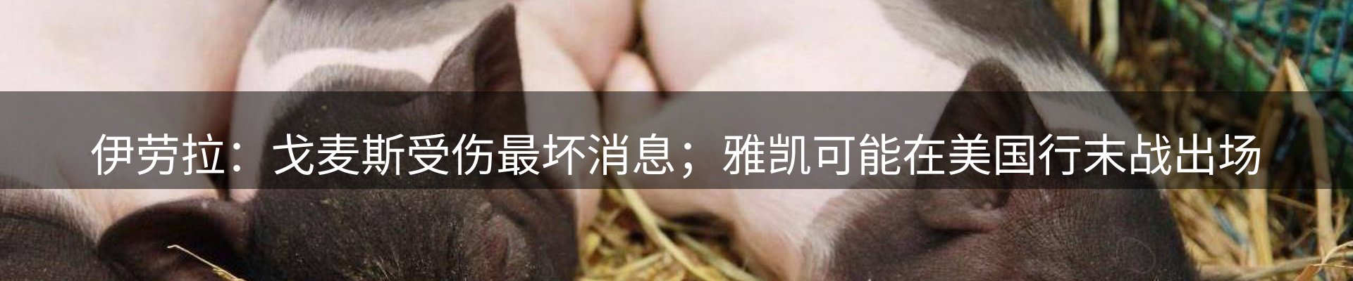 新闻资讯