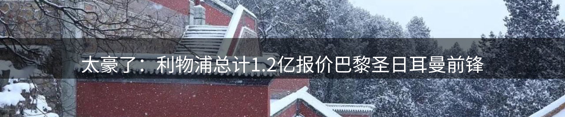 新闻资讯