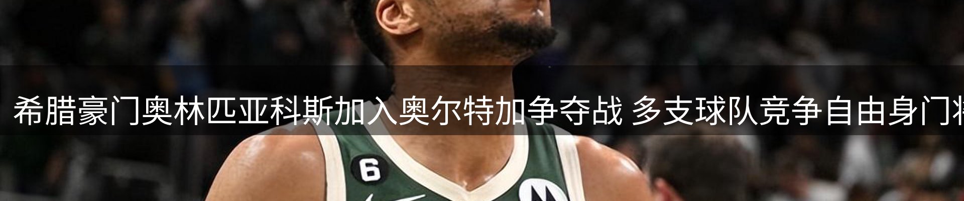 新闻资讯
