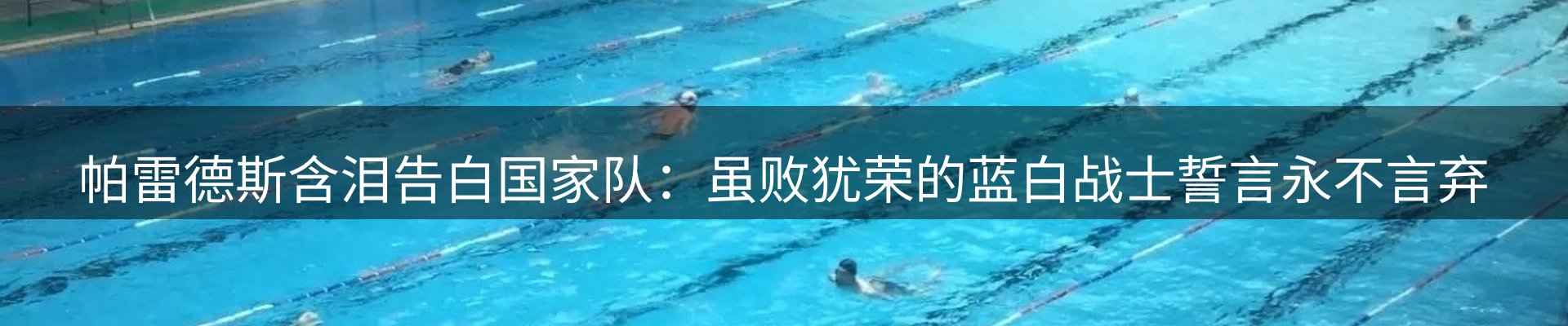 新闻资讯