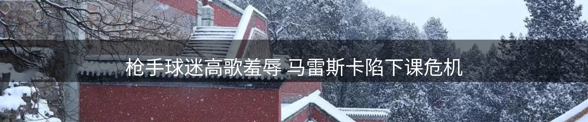 新闻资讯