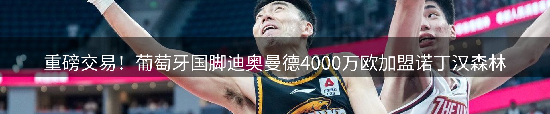 新闻资讯