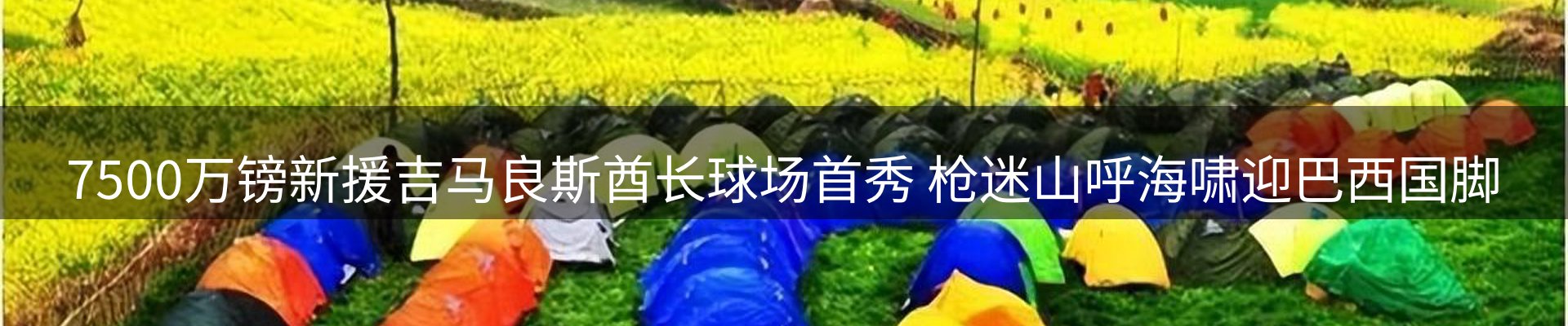 新闻资讯
