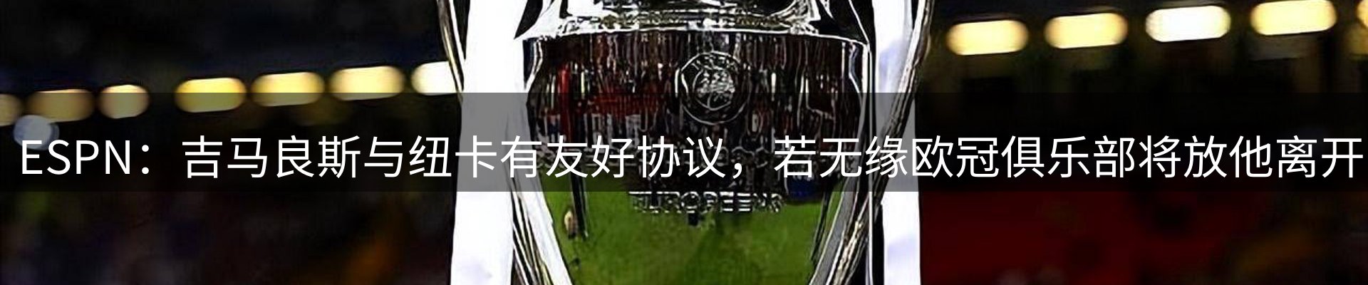 新闻资讯